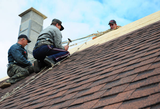 Best Flat Roof Repair Services  in Rice Lake, MN